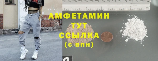 прущие грибы Балабаново