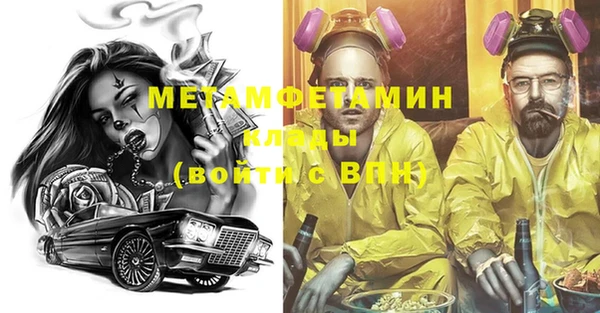 прущие грибы Балабаново