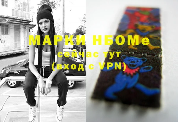 прущие грибы Балабаново