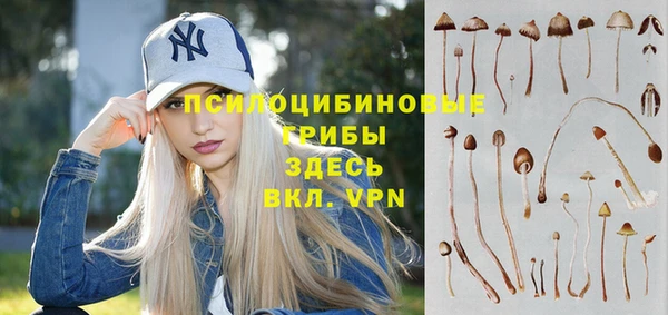 прущие грибы Балабаново