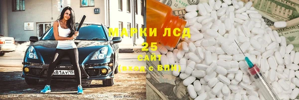 прущие грибы Балабаново