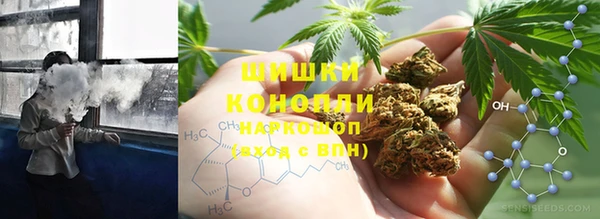 прущие грибы Балабаново
