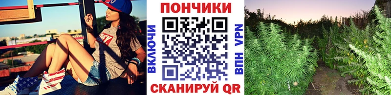Канабис конопля Мосальск